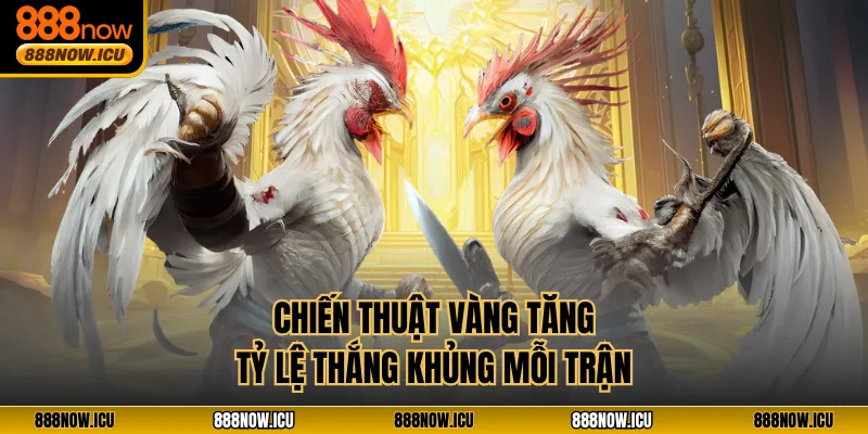 Chiến thuật vàng tăng tỷ lệ thắng khủng mỗi trận