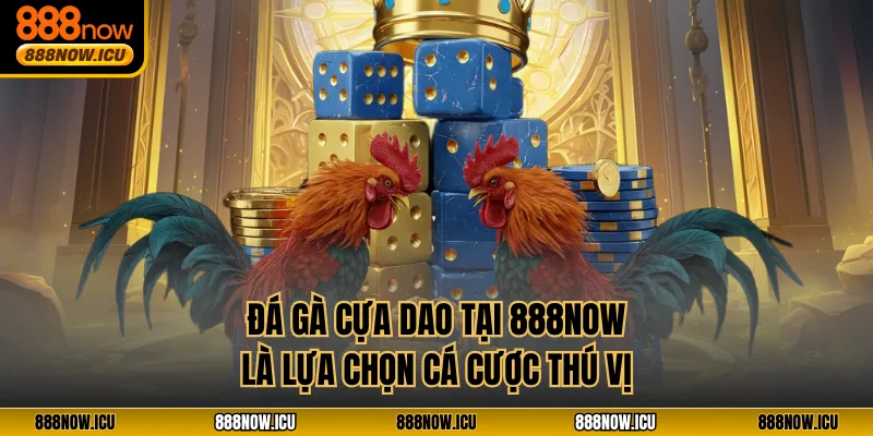 Đá gà cựa dao tại 888NOW là lựa chọn cá cược thú vị