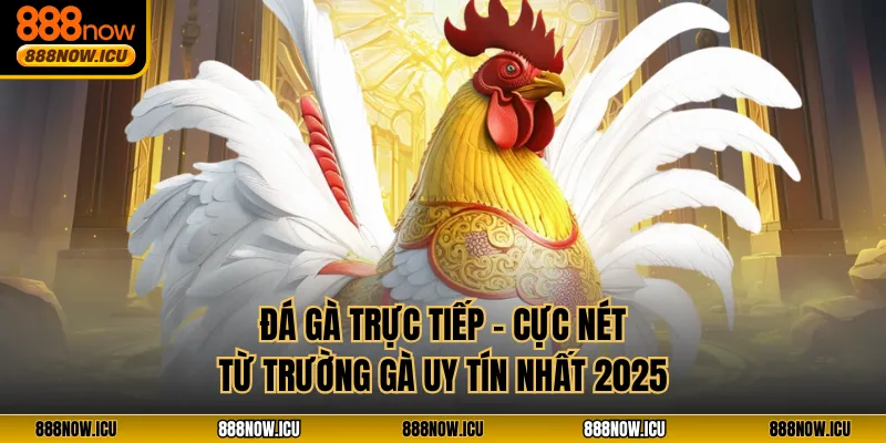 Đá Gà Trực Tiếp - Cực Nét Từ Trường Gà Uy Tín Nhất 2025