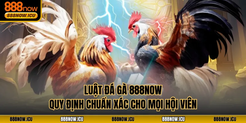 Luật Đá Gà 888NOW – Quy Định Chuẩn Xác Cho Mọi Hội Viên