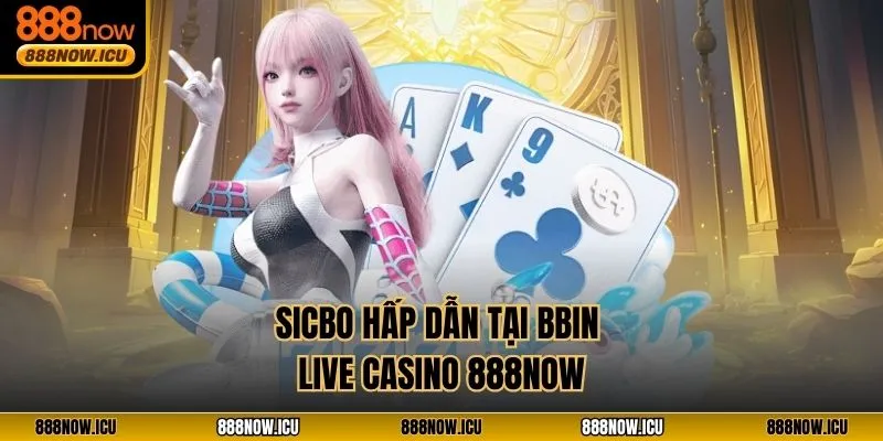 Sicbo hấp dẫn tại BBIN Live Casino 888NOW
